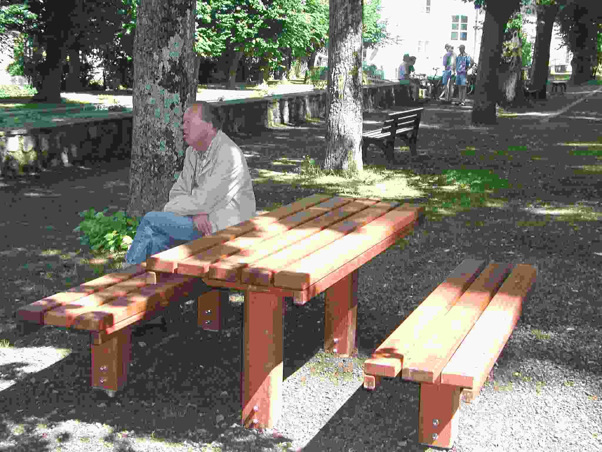 Neue Picknick-Garnitur unter den Linden an der der Promenade mit Gast